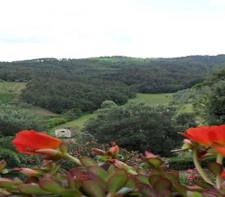 Del Grillo