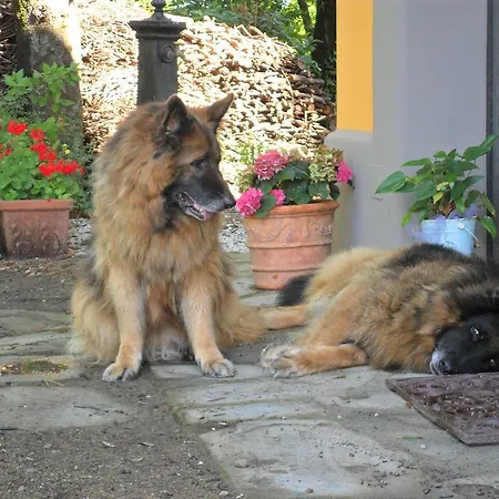 Panzió Del Grillo