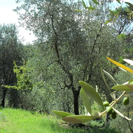 Panzió Del Grillo Cantagrillo