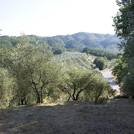 Del Grillo Panzió *