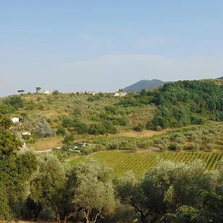 Panzió Del Grillo